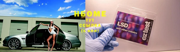 прущая мука Алзамай