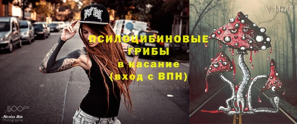 ГАЛЛЮЦИНОГЕННЫЕ ГРИБЫ Алексеевка