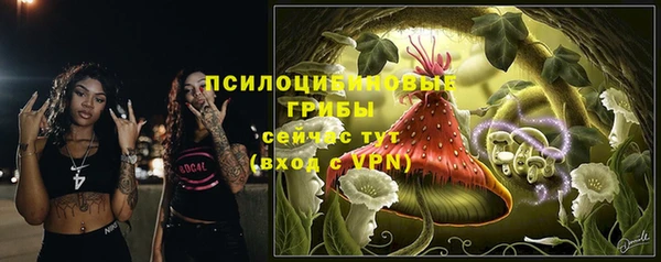ГАЛЛЮЦИНОГЕННЫЕ ГРИБЫ Алексеевка